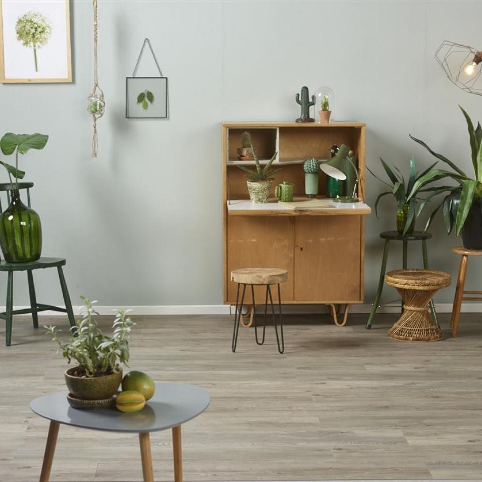 lichtgroene muur en plantjes